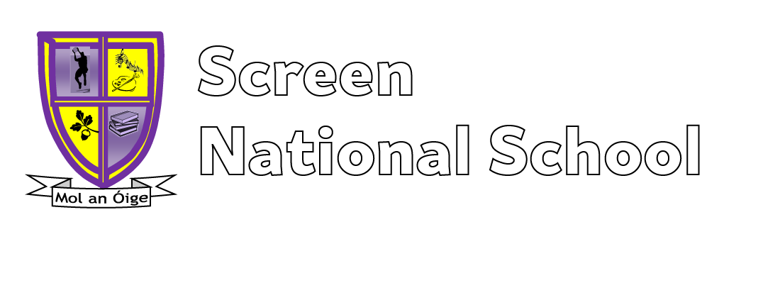 Screen National School